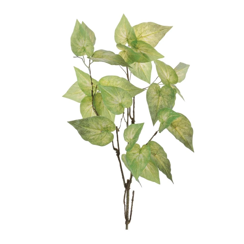 Hivvago Anthurium Leaf Branch (Set of 4)