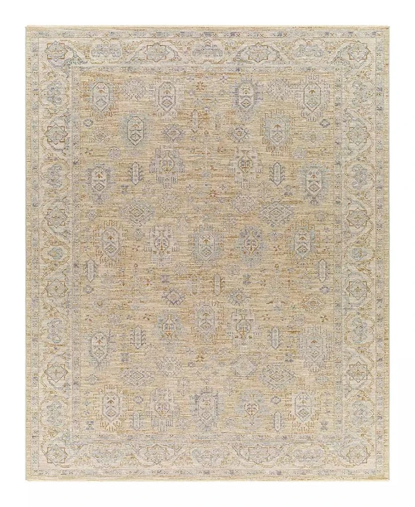 Surya Avant Garde AVT-2340 6'7" x 9'6" Area Rug 1