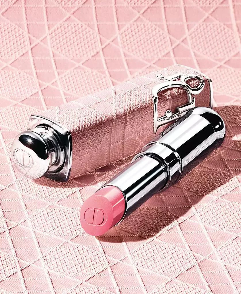 Dior Addict Refillable Couture Lipstick Case 2
