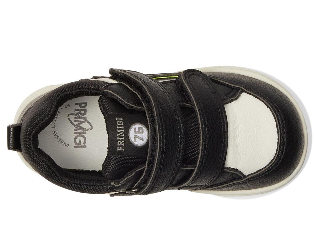 Primigi Kids PBZ 68529 (Toddler/Little Kid)