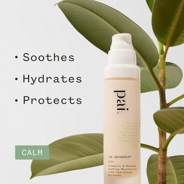 Pai Pai Skincare The Anthemis Chamomile and Rosehip Soothing Moisturizer 50ml 6