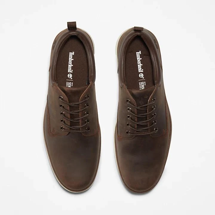 Timberland Bradstreet Leather Oxford for Men in Dark Brown 2