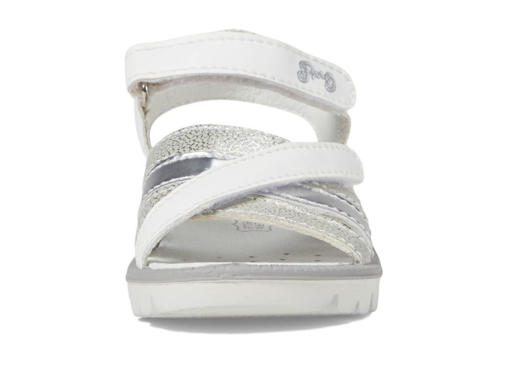 Primigi Kids 38864 (Toddler/Little Kid/Big Kid)