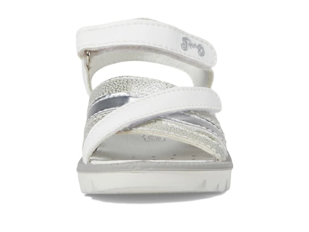 Primigi Kids 38864 (Toddler/Little Kid/Big Kid) 2