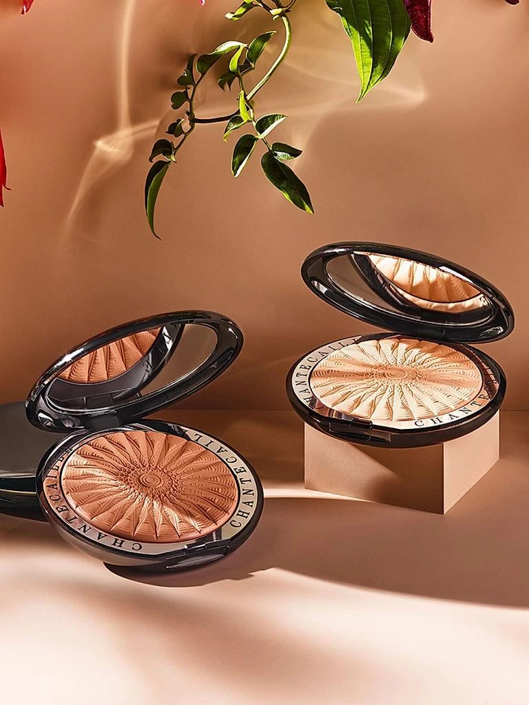 Chantecaille Perfect Blur Finishing Powder 3