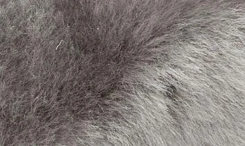 UGG UGG Genuine Dyed Shearling Single U Ear Muffs 2