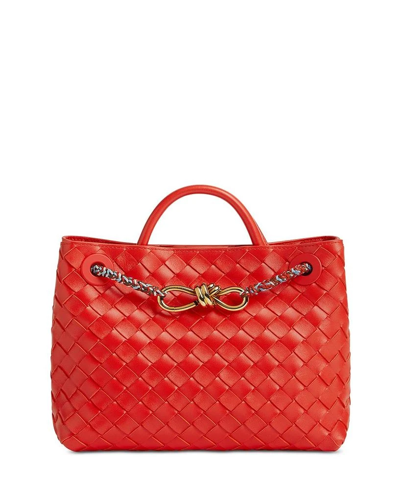Bottega Veneta Small Andiamo Bag 1