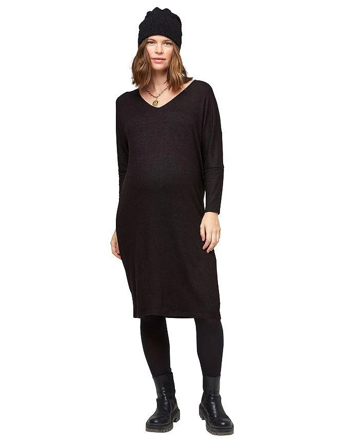 Nom Maternity Quinn Maternity Dress 3
