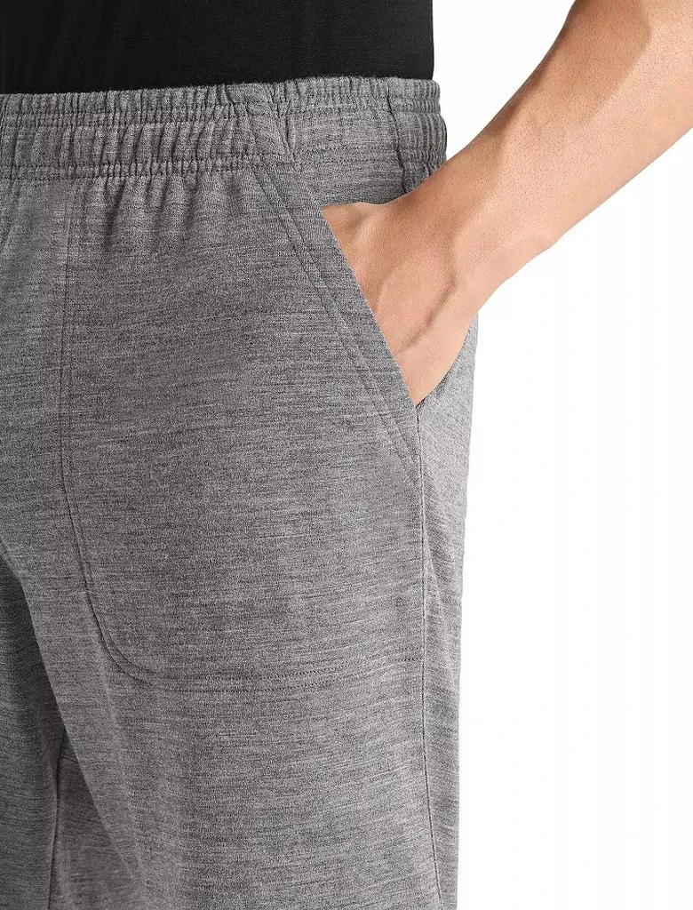 Icebreaker icebreaker Men's Merino Shifter Shorts 4