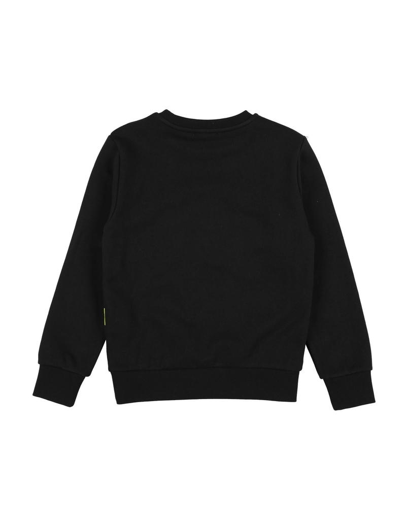 Iceberg Sweatshirt