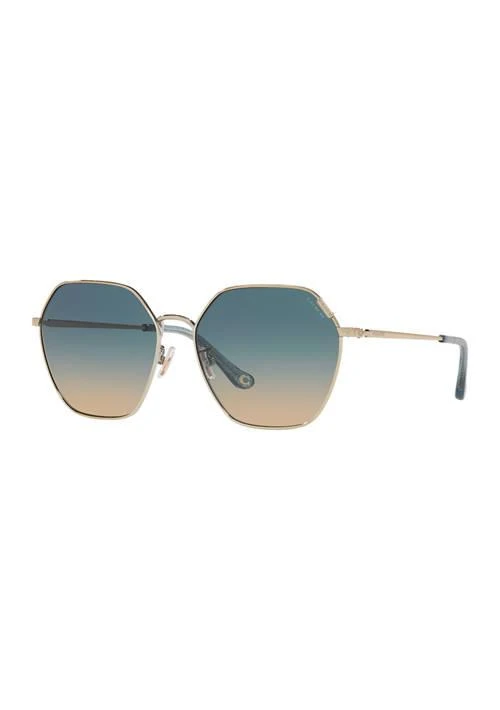 Coach Dg4443 Sunglasses 1