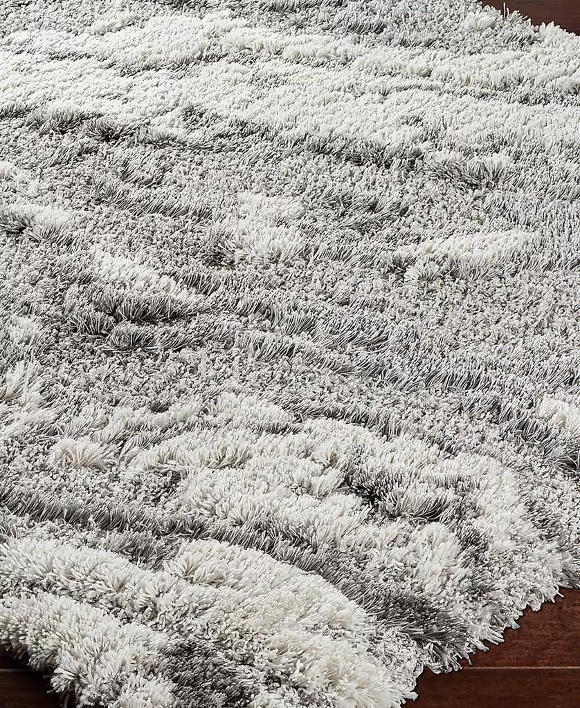 Surya Alta Shag ASG2301 2' x 3' Area Rug