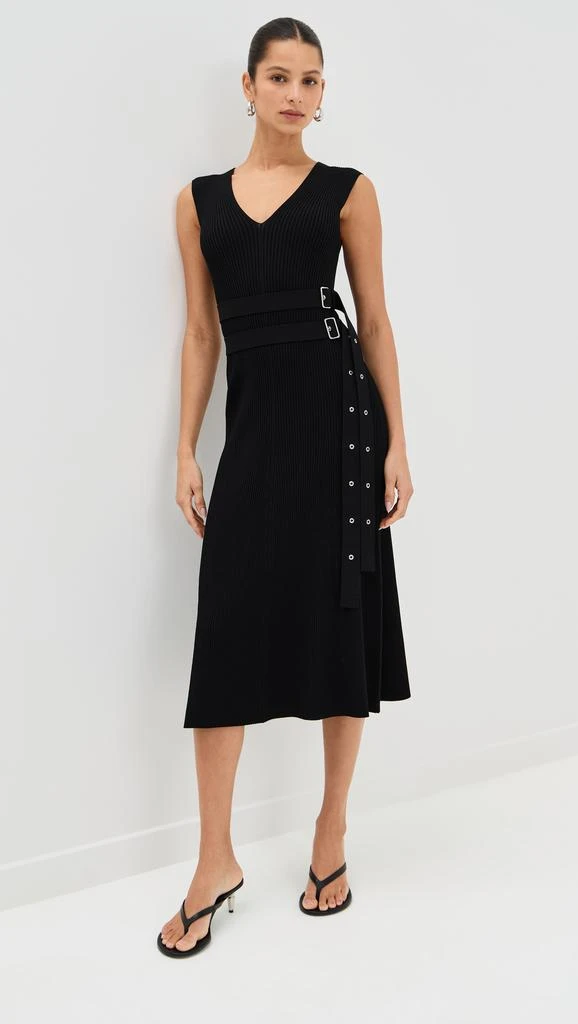 Proenza Schouler Madeline Dress 1