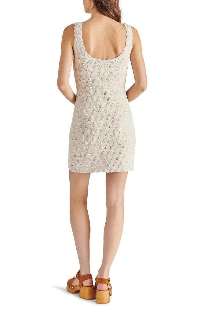 Steve Madden Malia Sleeveless Pointelle Sweater Minidress 2