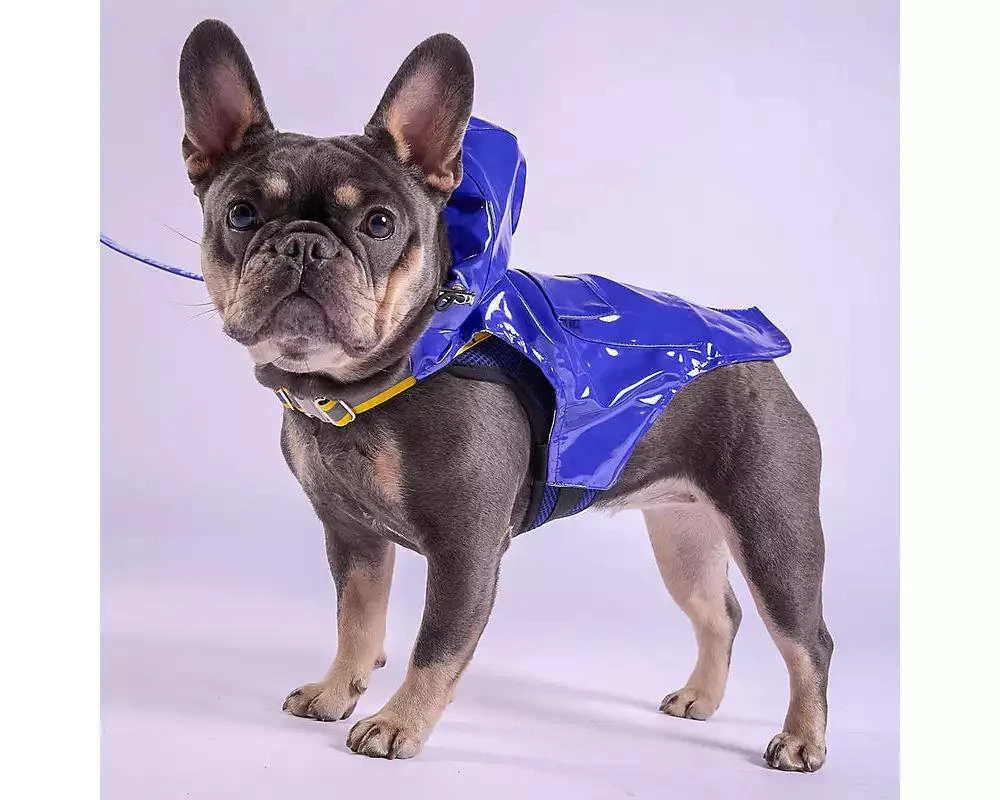 Tommy Bahama Pet Raincoat 
Apparel Harness - Blue