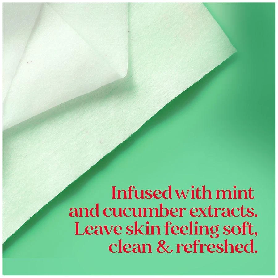Burt's Bees Refreshing Cucumber + Mint, 2-in-1 Pre-Moistened Towelettes Cucumber and Mint 9