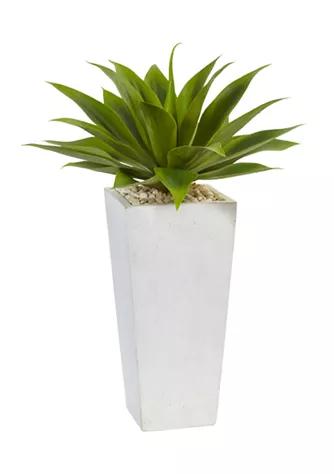 NEARLY NATURAL Natural Agave  Plant In White Planter