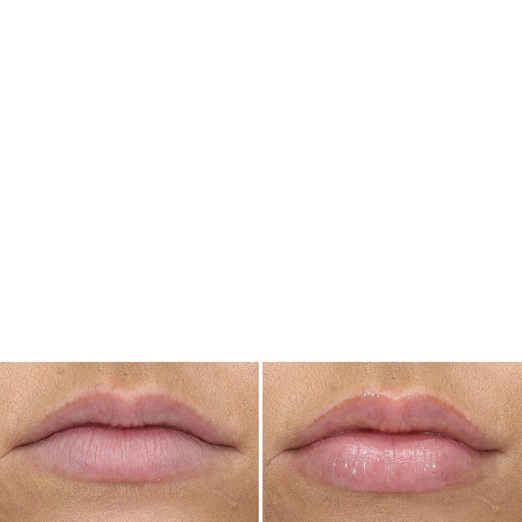 PCA SKIN PCA SKIN Hyaluronic Acid Lip Booster 2