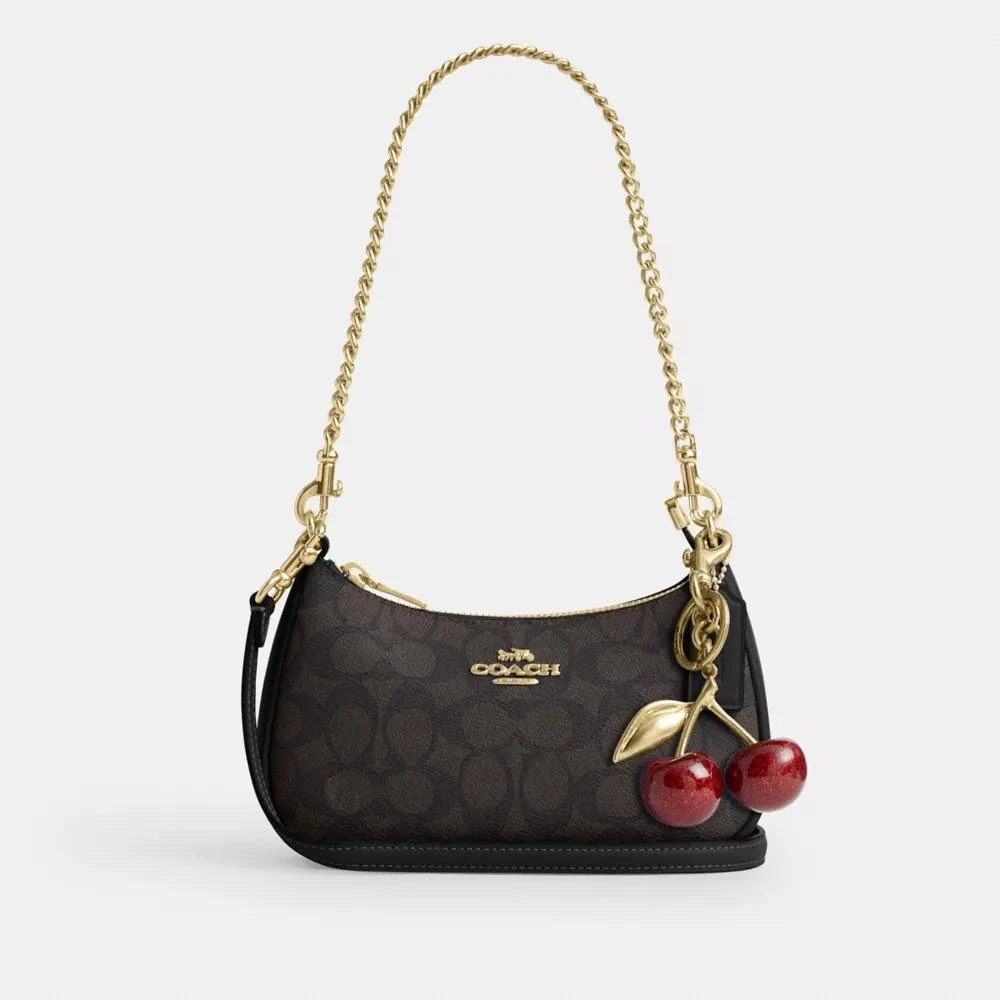 Coach Teri Mini Crossbody Bag In Signature Canvas 9