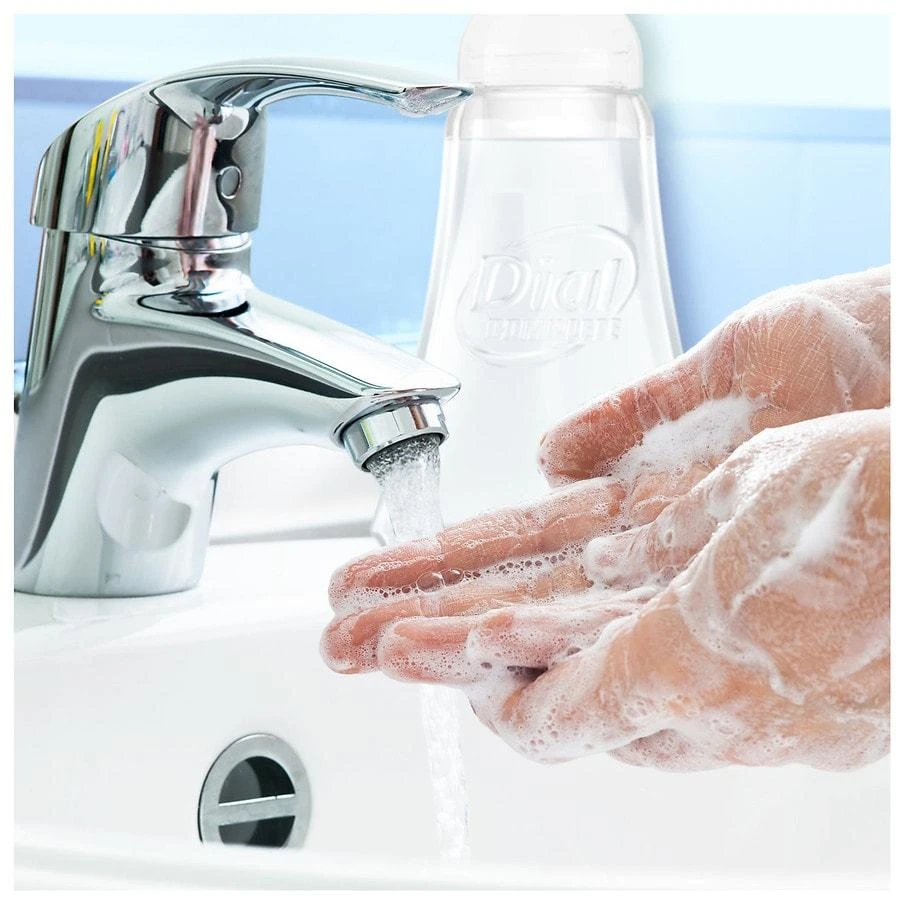 Dial Complete Antibacterial Foaming Hand Wash Coconut Water 9