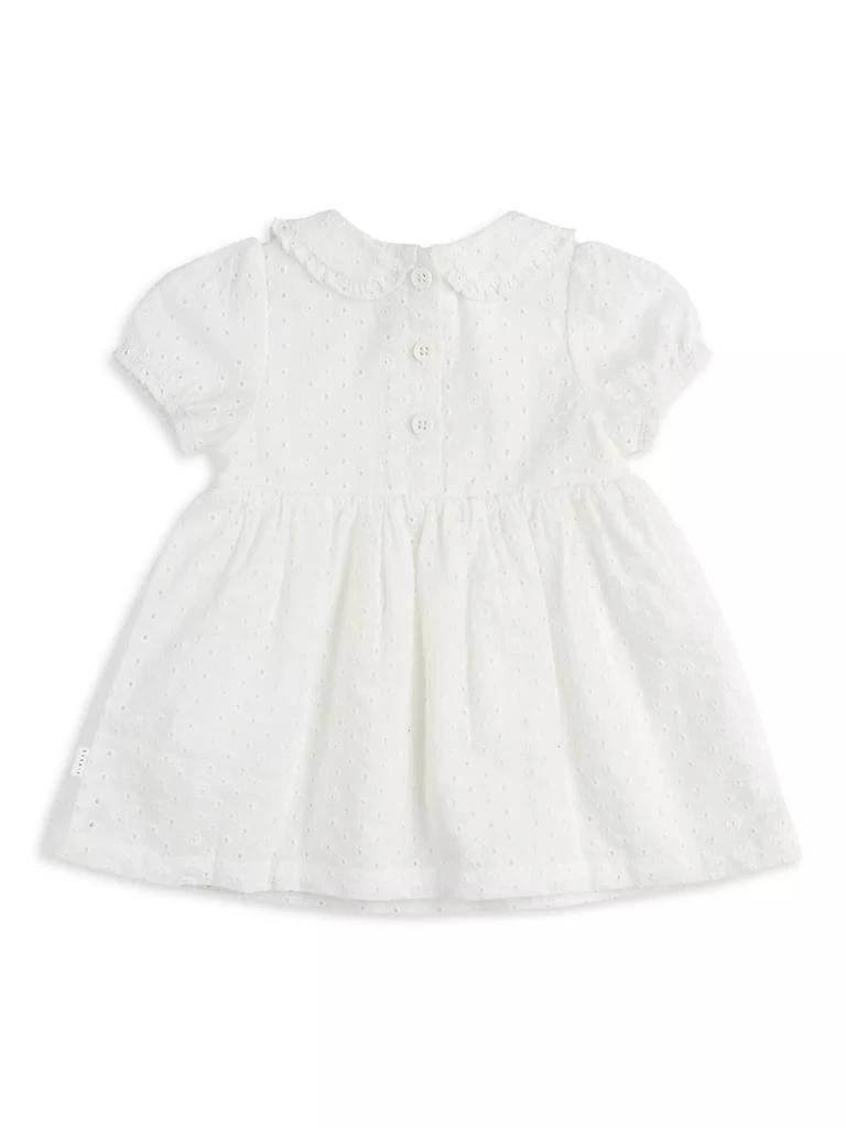 Petit Lem Baby Girl's Petit Lem Eyelet Dress &amp; Tights Set 2