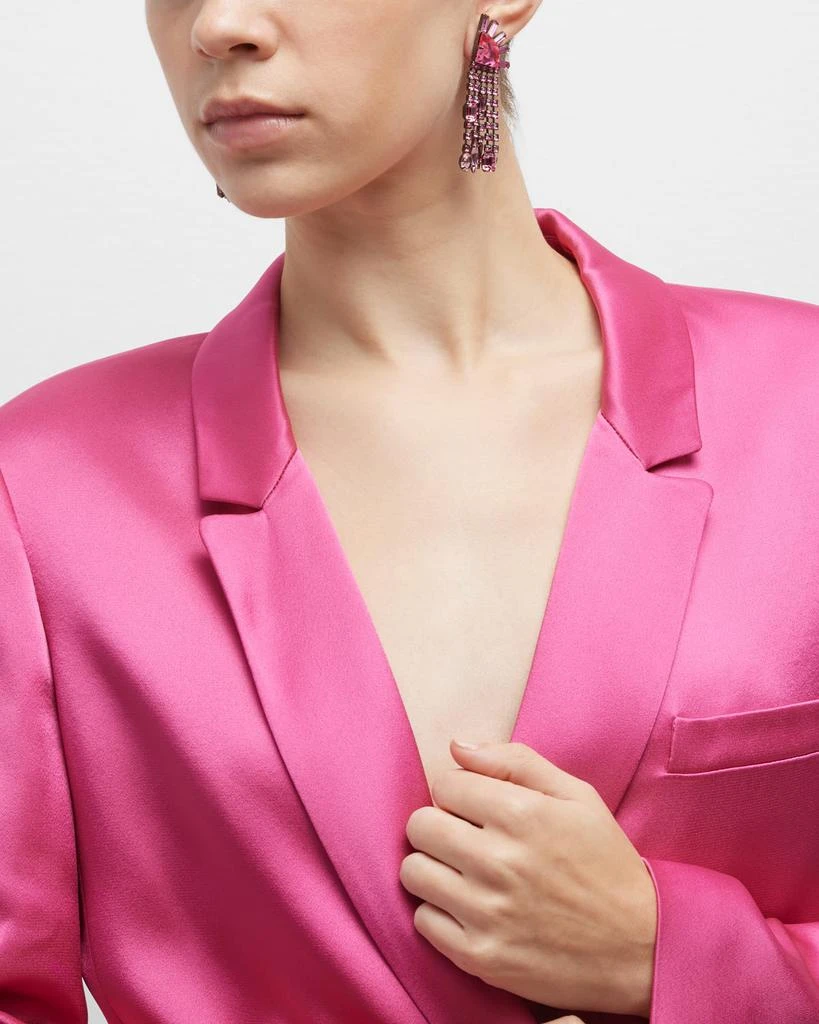 Elizabeth Cole Glora Crystal Fringe Earrings 5