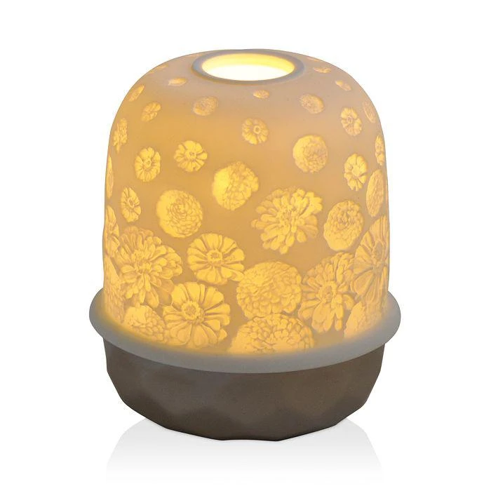 Bernardaud Lampias LED Zinnias Light 1