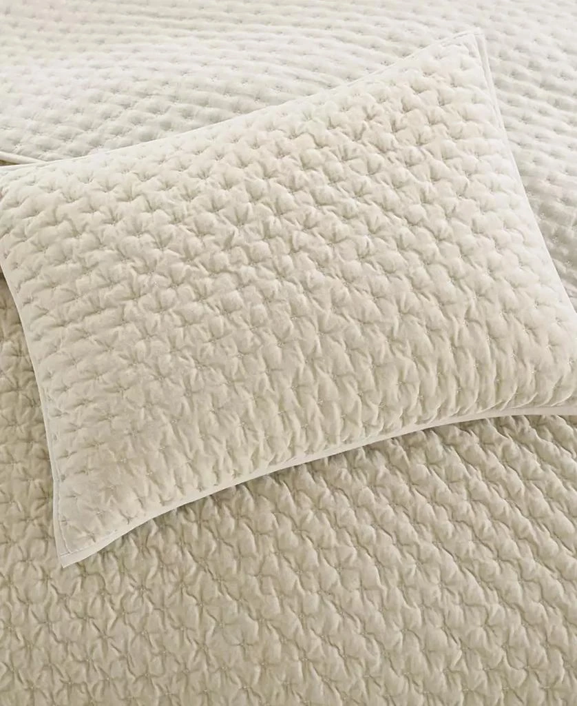 DKNY Pure Velvet 3-Pc. Quilt Set 4