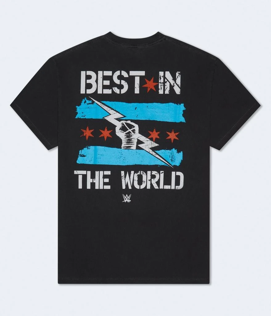 Aeropostale Wwe Cm Punk Relaxed Graphic Tee