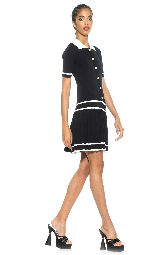ALEXIA ADMOR Lucinda Short Sleeve Dress 6