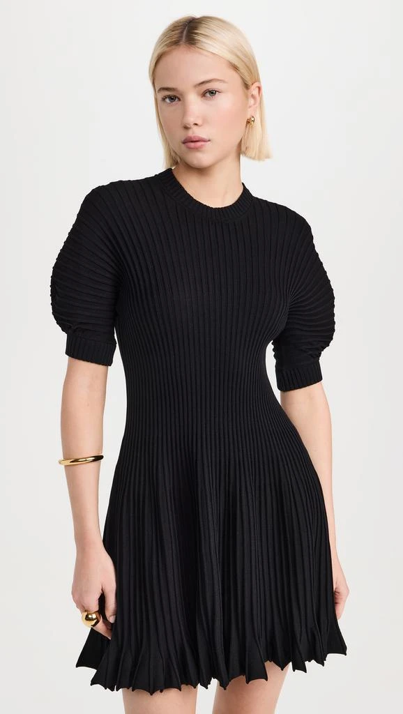 Ulla Johnson Talie Dress 6