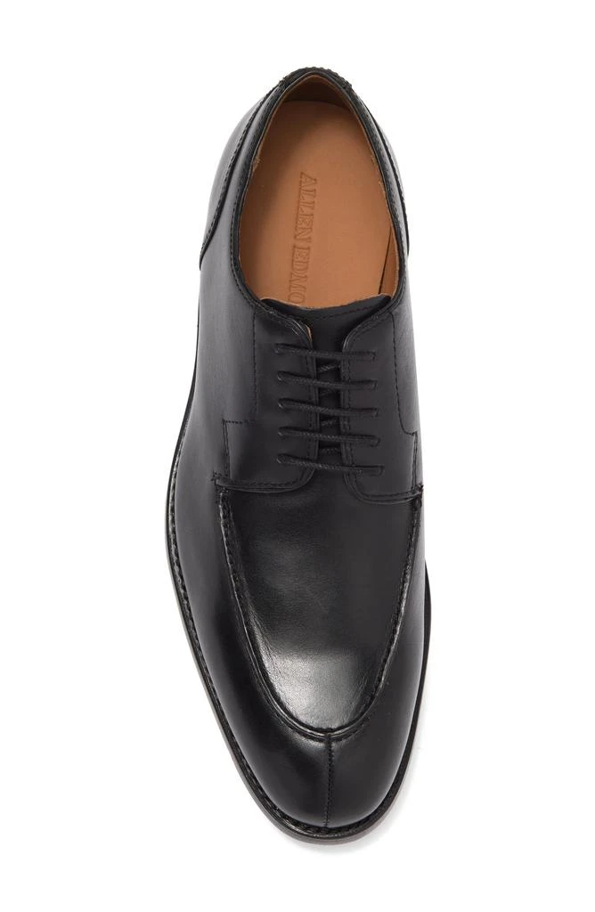 Allen Edmonds Watson Leather Derby 4