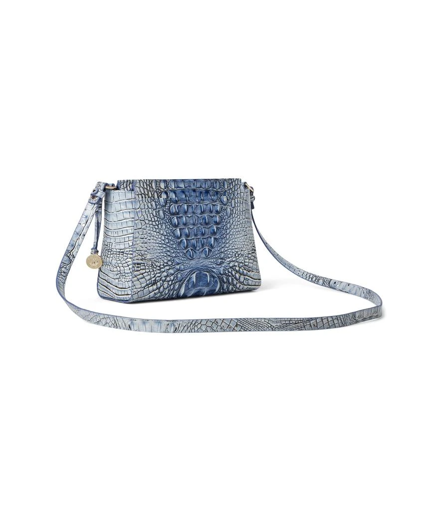 Brahmin Hillary 2