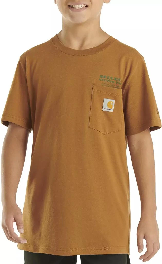 Carhartt Carhartt Boys' Sequoia National Park T-Shirt 3