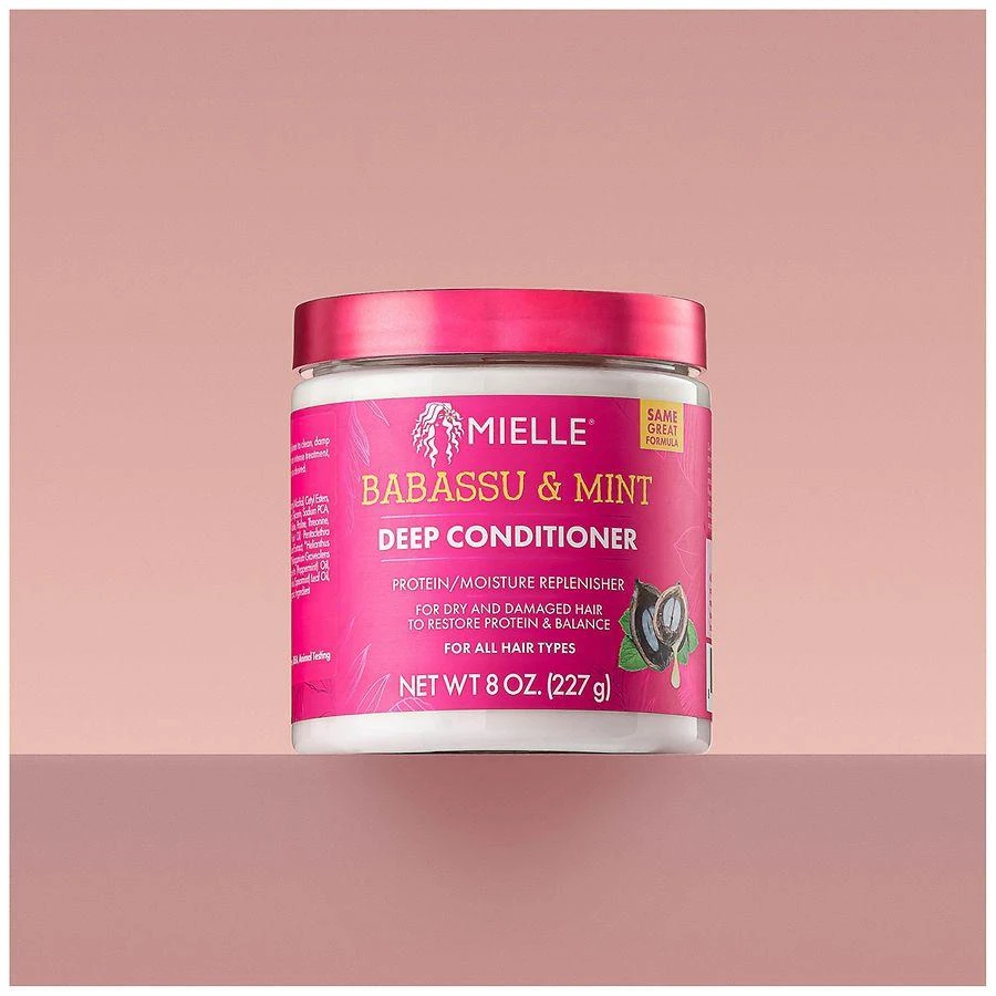 Mielle Organics Deep Conditioner Babassu & Mint 2