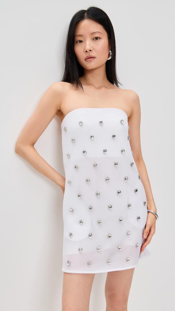 Brandon Maxwell The Tilly Embroidered Strapless Mini Dress
