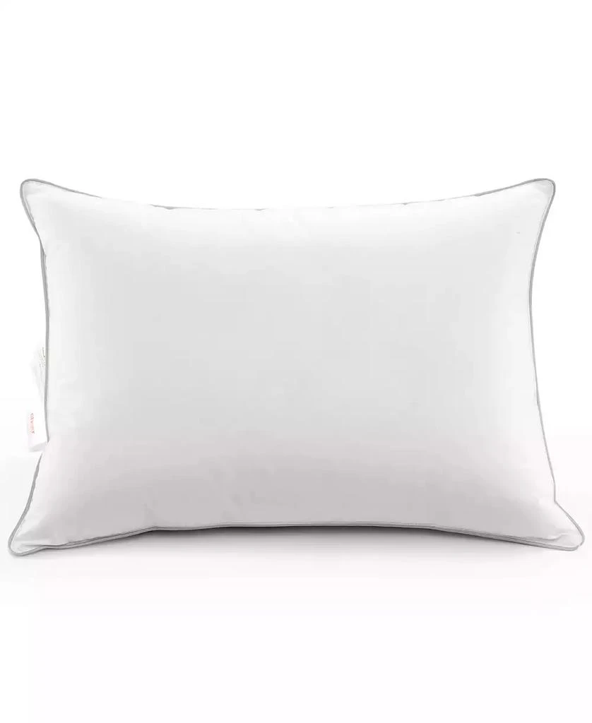 Cheer Collection Down Alternative 2-Pack Pillows, Standard