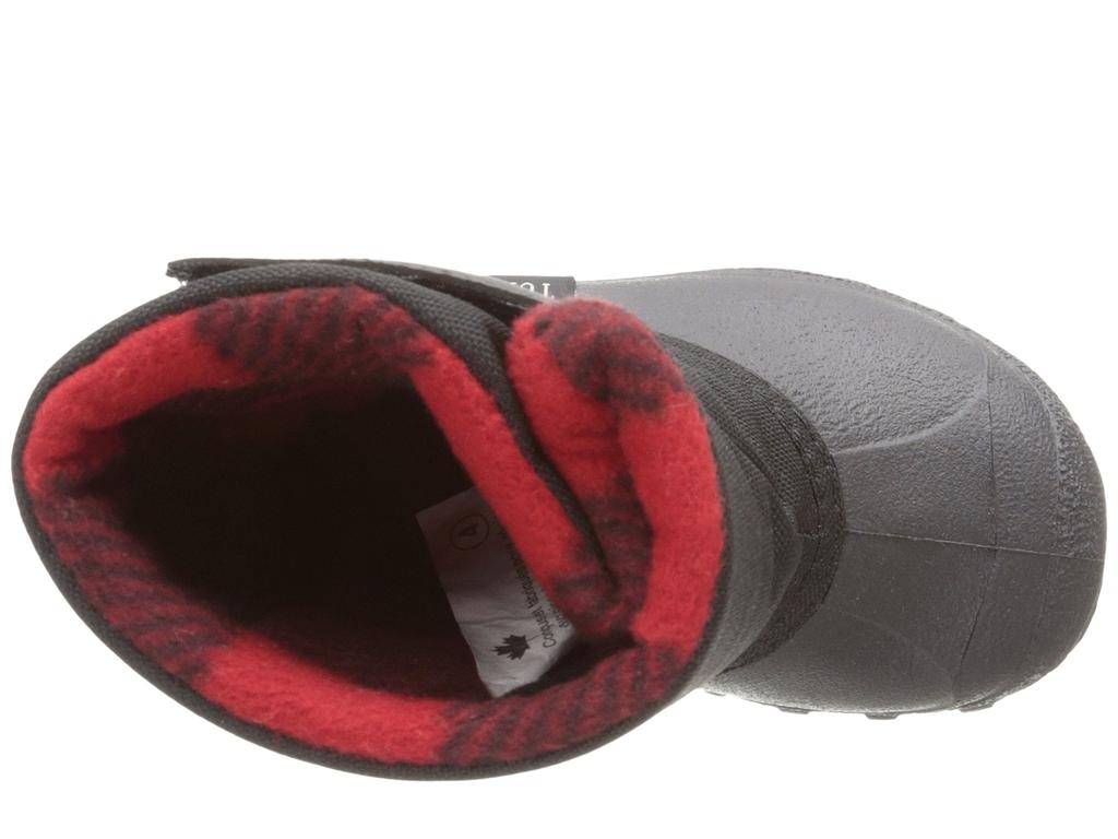 Tundra Boots Teddy 4 (Toddler/Little Kid)