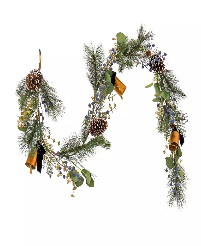 National Tree Company 6' HGTV Home Collection Swiss Chic Garland