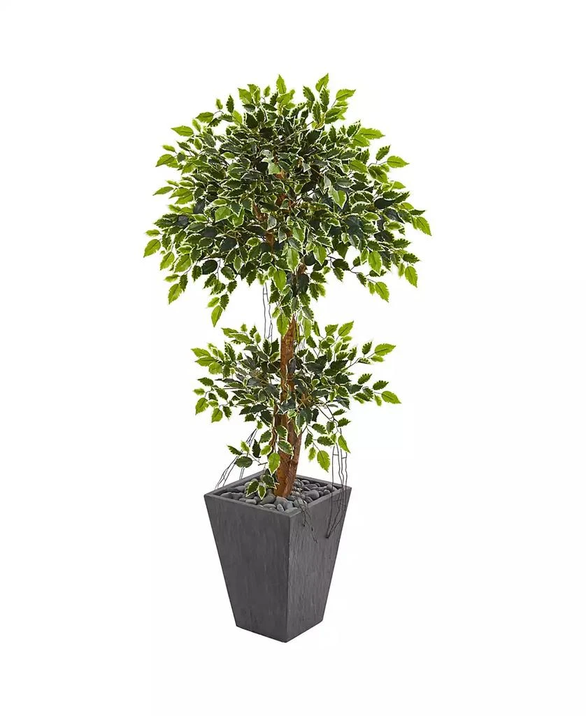 NEARLY NATURAL 5’ Variegated Ficus Artificial Tree in Slate Planter