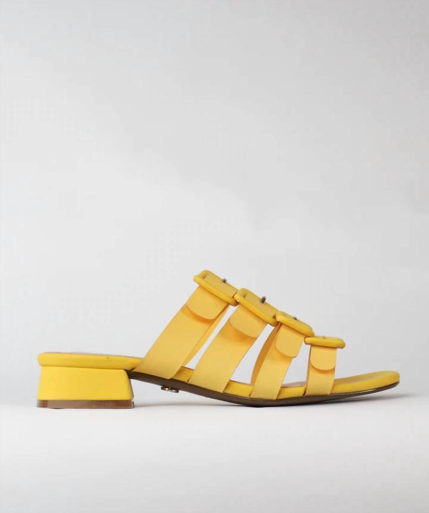 Cecelia New York Lexington Slide Sandal In Yellow