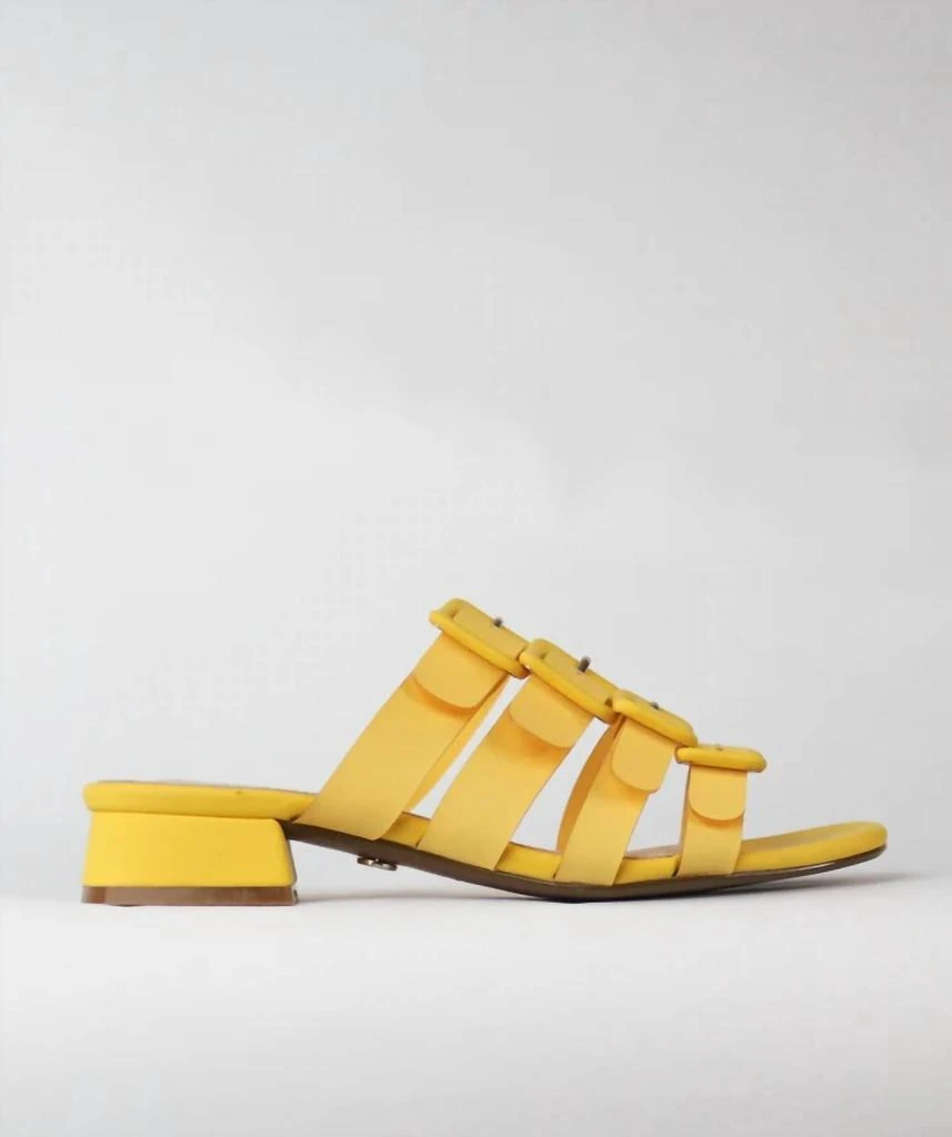 Cecelia New York Lexington Slide Sandal In Yellow 2