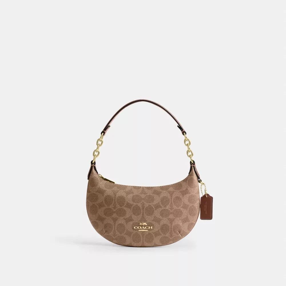 Coach Mini Payton Bag In Signature Canvas