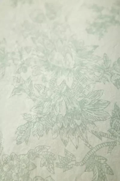 Urban Outfitters Toile Duvet Cover Set 3