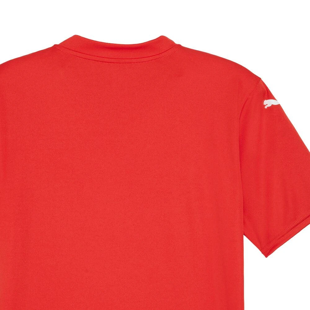 Puma Teamglory V Neck Short Sleeve Soccer Jersey 4