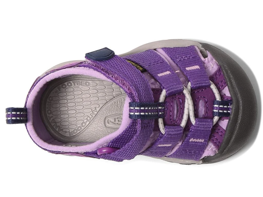 Keen Newport H2 (Toddler) 2