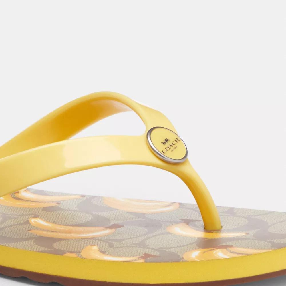 Coach Zayn Flip Flop With Fruit Print - Slippers - Compare