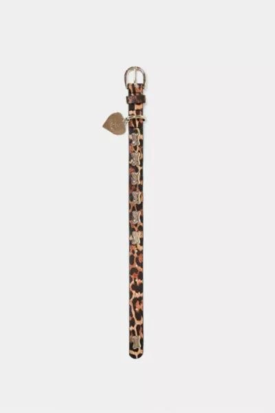 Little Beast Little Beast Studded Pet Collar 2