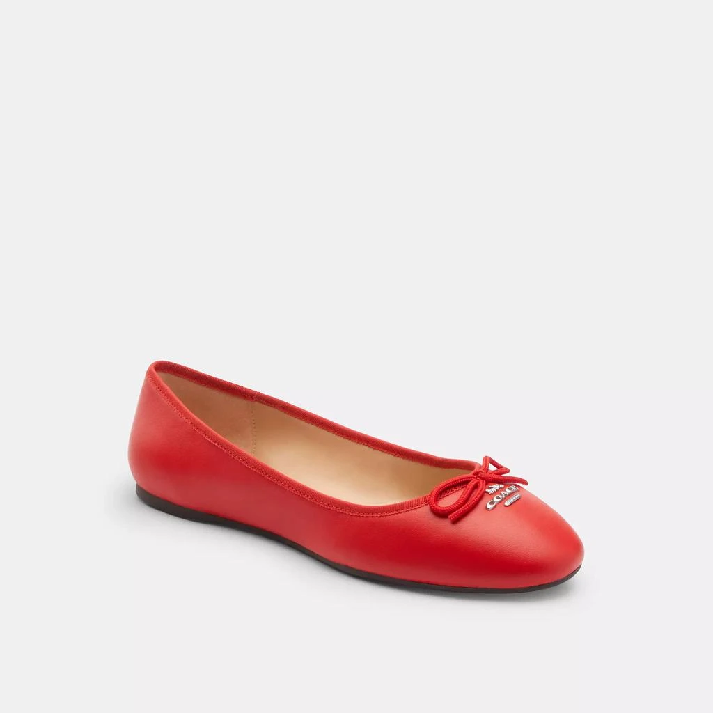 Coach Alina Ballet 8