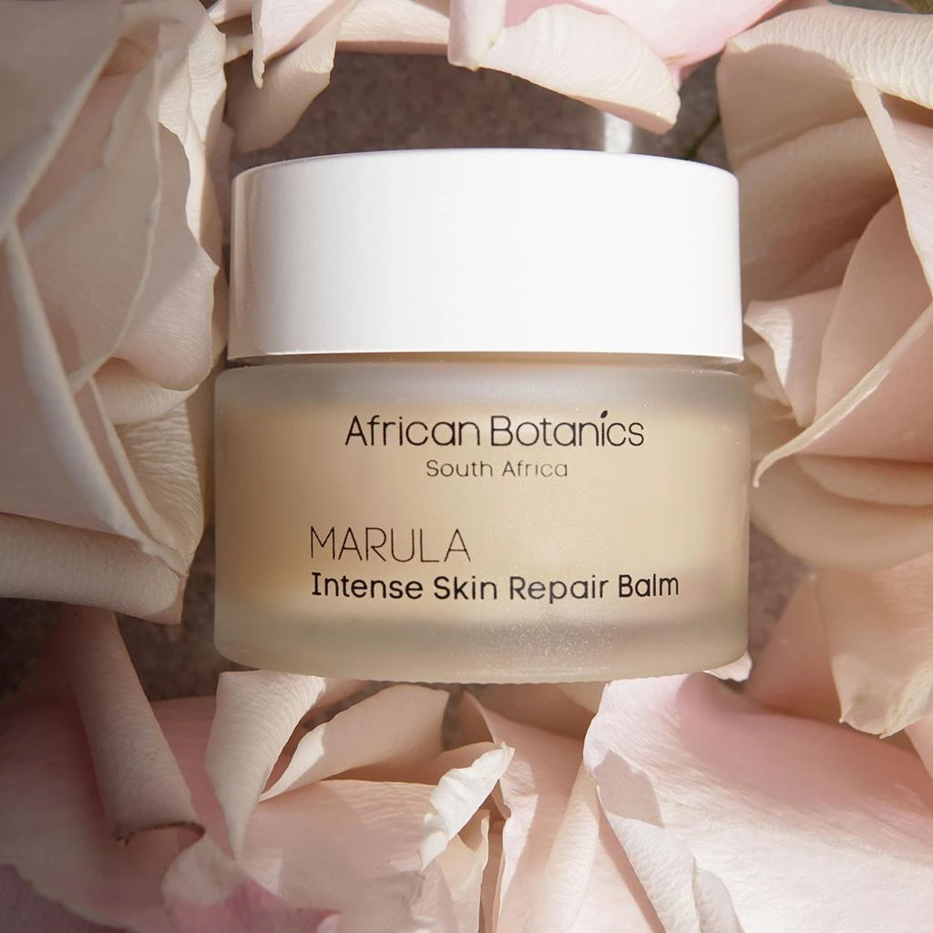 African Botanics Intense Skin Repair Balm 2